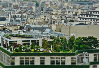 roof-terrace-1423897_640