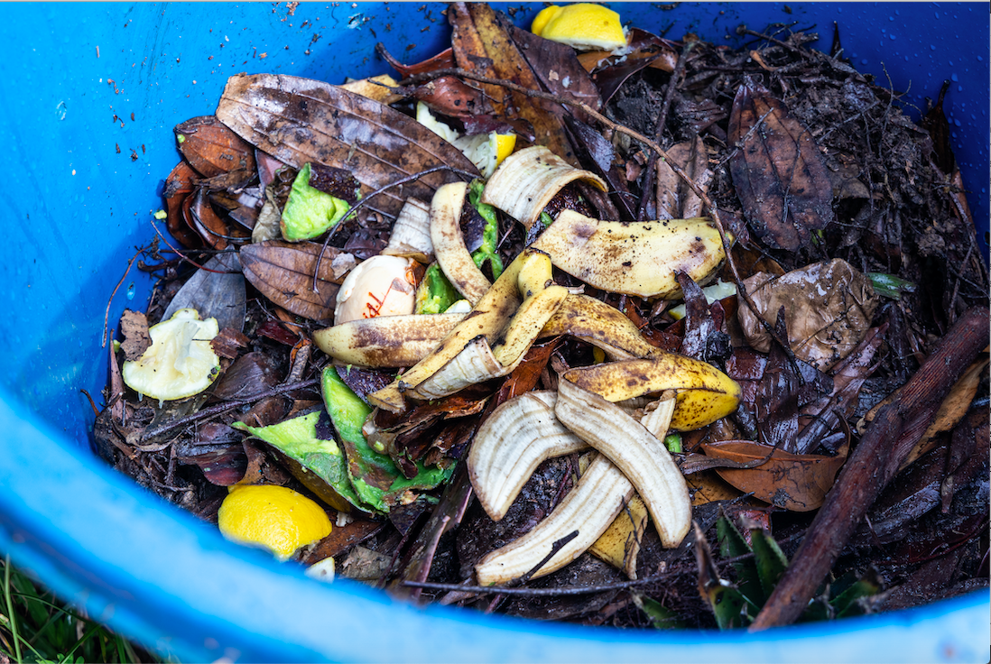 4 Reasons Why We Should All Compost The Urban Gardener