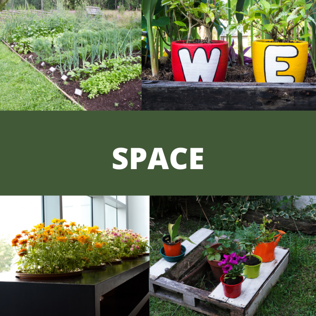 How to Design A Garden That Is Perfect For You - The Urban Gardener
