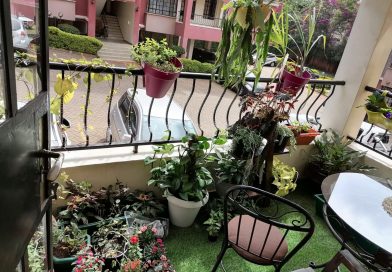 Balcony Garden