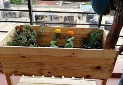 Balcony Garden