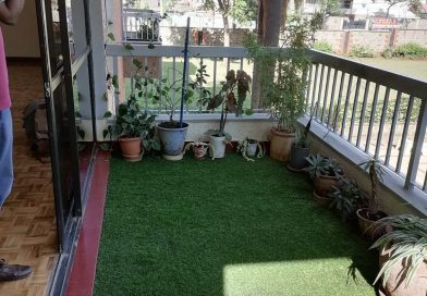 Balcony Garden