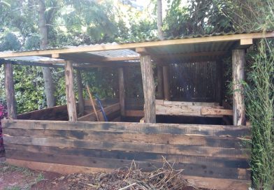 Compost Bins