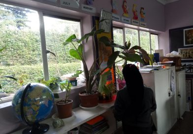 Classroom Garden